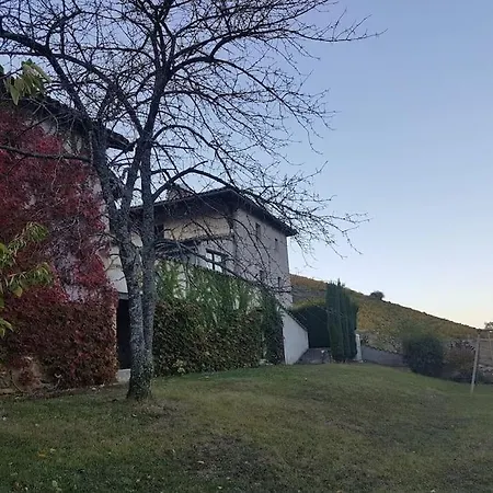 Charmante Maison Au Calme Pour 6 Personnes Quincié-en-Beaujolais Exterior foto